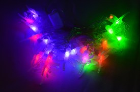 Luces navidad x 20 libelula multicolor (3).jpg